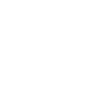 pinina-ecommerce.webp