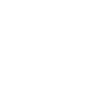 ya traelo diseño de logitpo y página web