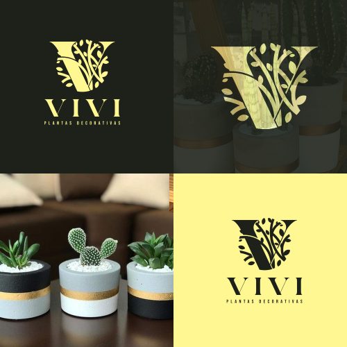 vivi prsentación 2